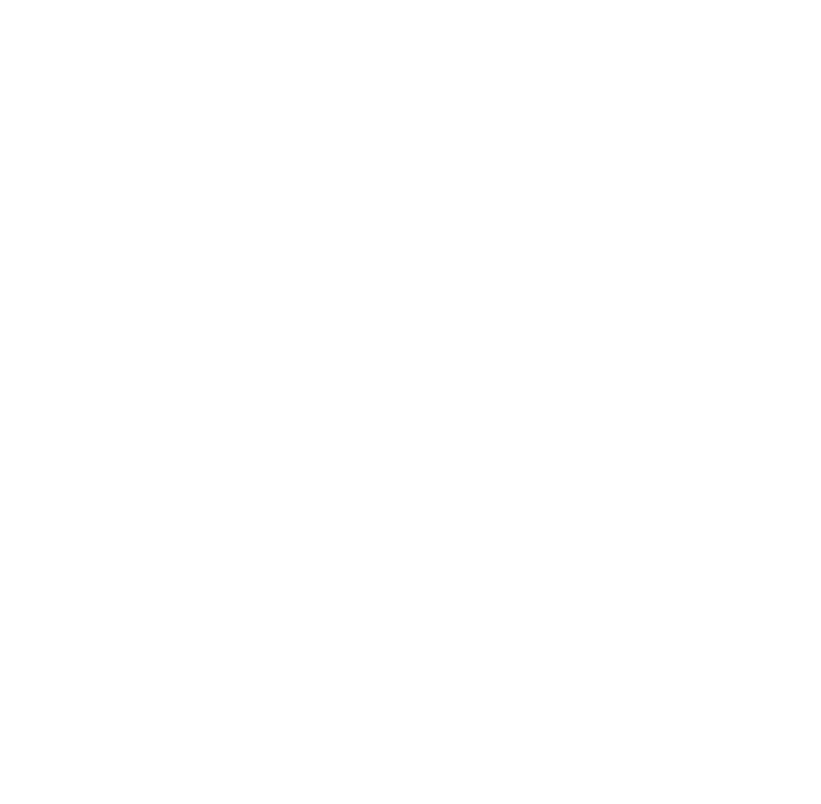carpentry prince logo upscaled white